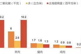 智氪丨全世界的人造肉，几乎都被山东这家粉丝厂承包了图片