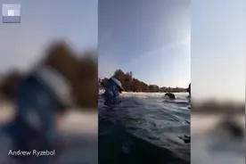 疯狂的游戏！加拿大两名潜水员在结冰的湖面下倒立踢足球图片
