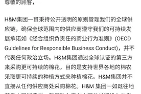 H&M中国发最新声明！网友不买账：“玩文字游戏”图片