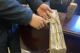 @成都人，白蚁要出门“耍朋友”了！这些灭治方法要知道……图片