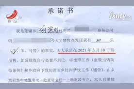 乡政府要求“养的牛必须卖掉”？！当地最新回应图片