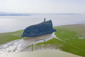 鄱阳湖湖滩再现“大草原”图片