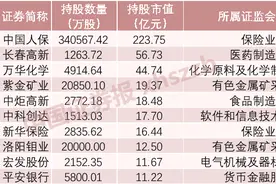 “国家队”调仓路线图明晰！重点买入和加仓这些股图片