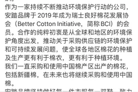 接连发声力挺！安踏、鸿星尔克、海澜之家等十余家中国品牌：支持新疆棉花图片