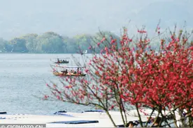 桃红柳绿春意浓 西湖美景醉游人图片