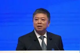 充当恶势力“保护伞”，北京一正局级被双开图片