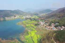 春色阅不尽 山水映花黄视频封面