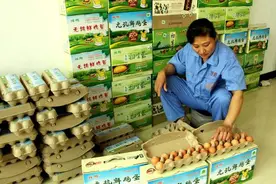 西华无抗鸡蛋：一枚鸡蛋能卖12元图片