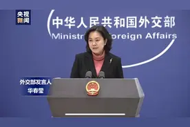 外交部：不允许外国企业一边吃中国的饭，一边砸中国的碗图片
