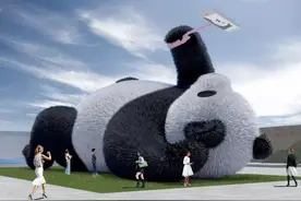 这只滚滚个头比成都IFS那只还大！4月初将在都江堰和游客见面图片