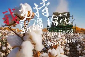 新疆雪白的棉花，不容抹黑图片