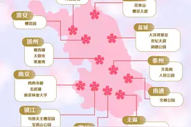 草长“樱”飞春正好！江苏13个市的赏樱秘境等你来开启图片