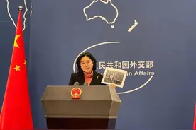 华春莹：不能吃着中国的饭，砸着中国的碗图片