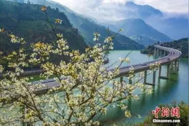 自驾游必走！这八条高速公路，藏着“诗和远方”图片
