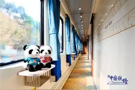 坐火车可以打麻将，全国首列熊猫专列上线；网友：十个九个坐过站图片