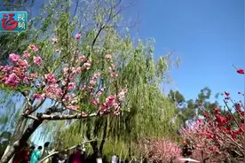 当繁花似锦邂逅绿意盎然，福州究竟有多美？图片