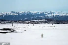 新疆阿勒泰三月冰雪覆盖宛如童话世界图片
