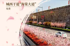 胜日寻芳，来南京看海棠图片