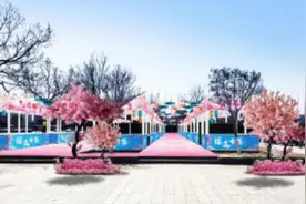 樱花遇上烟台车展，4月8日共赴一场浪漫之约图片