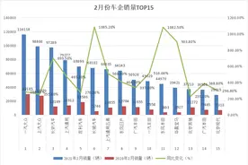哈弗H6走下神坛，“国民神车”继续力压特斯拉Model3图片