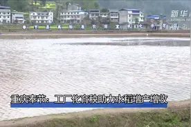 科技帮帮忙｜重庆奉节：工厂化育秧助力水稻增产增收视频封面