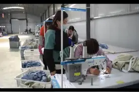 王娟娟的增收“女子天团”图片