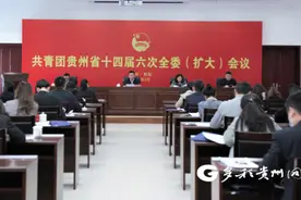 共青团贵州省十四届六次全委（扩大）会议在贵阳召开图片