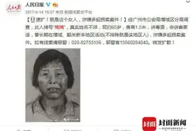 拐卖9名儿童的“梅姨”：同伙曾描述“只要有孩子她就收”图片