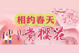 21支援鄂医疗队重返武汉，登黄鹤楼极目楚天舒，乘知音号欣赏灯光秀图片