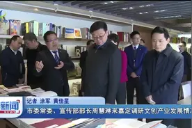 市委常委、宣传部部长周慧琳来嘉定调研文创产业发展情况视频封面