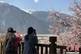 2021西藏林芝第十九届桃花旅游文化节开幕图片