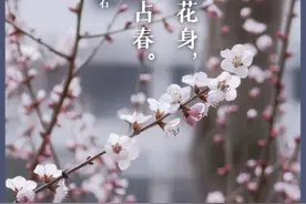 养眼！真“校花”合集来了图片
