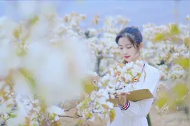 75秒｜泰安夏张镇万亩梨花香飘满天 雪铺四野视频封面