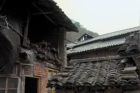 “代”来的女儿图片
