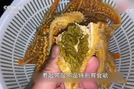 泛滥的海星吃不净，只好动用“禁术”——地笼网图片