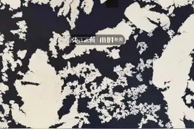 奇景！千岛湖湖面一片“金黄”！背后秘密让吃货激动了图片