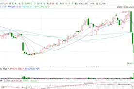 深夜惊魂，多家中概股惨遭“血洗”！高盛大举抛售，知名基金经理爆仓，谁是幕后推手？图片