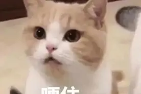 好兄弟借车，一借就是一年多！男子忍无可忍“偷”走自己的车，兄弟报警了……图片