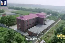 厅级干部竟是“黑老大”！家族涉黑资产超百亿，房产2714套图片
