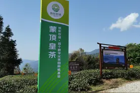 京东农场数字化茶园落户四川雅安市，电商巨头加速助力传统农业数字化转型图片