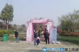 南通：三千桃花会萌宠 浪漫三月踏青时图片