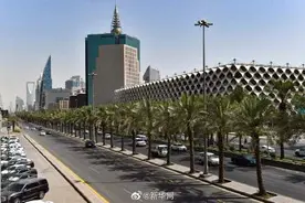 沙特计划未来几十年植树100亿棵图片