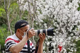 丰华园樱花节首日逾万人打卡，这里有免费门票攻略图片