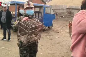 捕鸟老汉被普法 亲手打开笼子放鸟图片