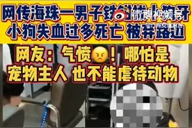 广州海珠一男子铁钳拔狗牙 网友：气愤图片