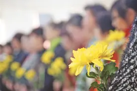 倡导“鲜花代纸钱，丝带寄哀思”的文明祭扫方式图片