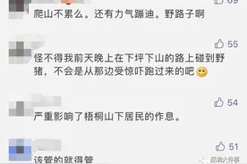 “200人深夜在深圳梧桐山蹦迪”真相查明图片