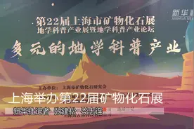 上海举办第22届矿物化石展视频封面
