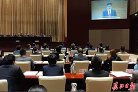 中国工程院党组书记、院长李晓红：将深化合作，为武汉科技创新提供更多更强支撑图片