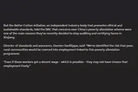BCI无耻抹黑新疆：BBC关于新疆“强迫劳动”的“核心资料”是哪来的？图片